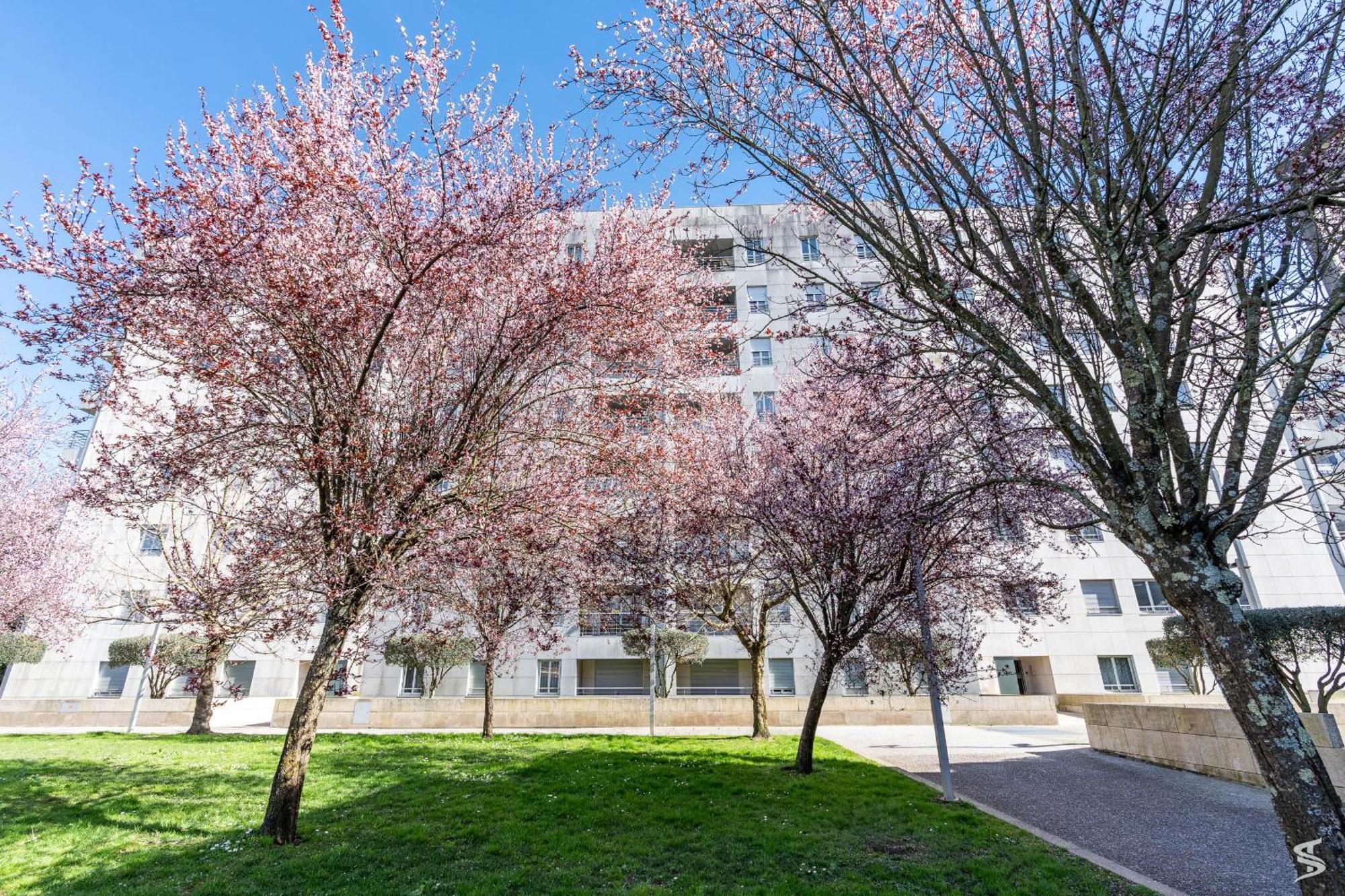פורטו Cedofeita Sunny Apartment - Balcony & Parking מראה חיצוני תמונה